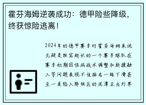 霍芬海姆逆袭成功：德甲险些降级，终获惊险逃离！